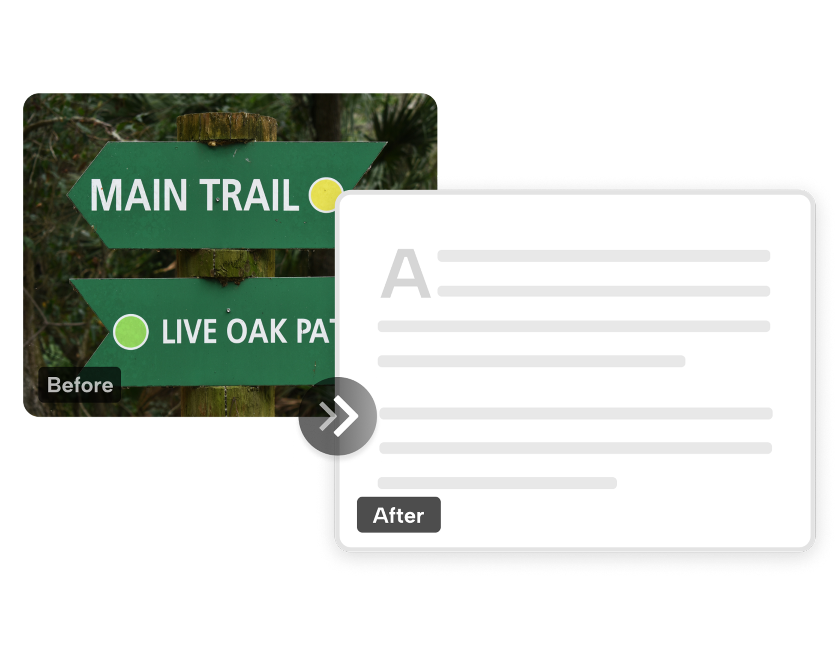 EDraw Max Review Details And Alternatives EBool 54 OFF