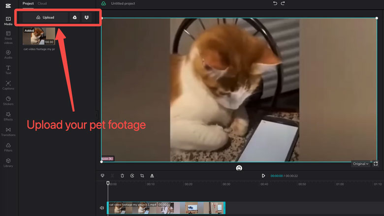 import-pet-videos.jpg