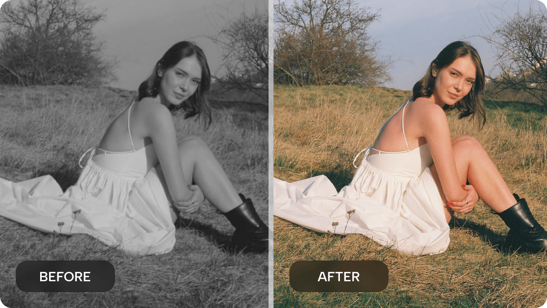 Colorize photos with realistic look and tones