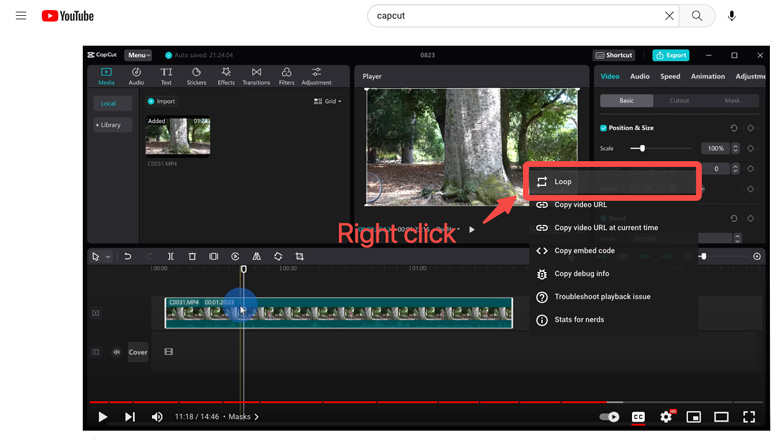 3 Best Ways to Loop a  Video In No Time